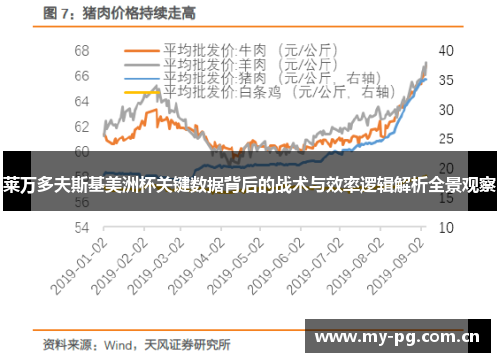 莱万多夫斯基美洲杯关键数据背后的战术与效率逻辑解析全景观察 莱万多夫斯基美洲杯关键数据背后的战术与效率逻辑解析全景观察